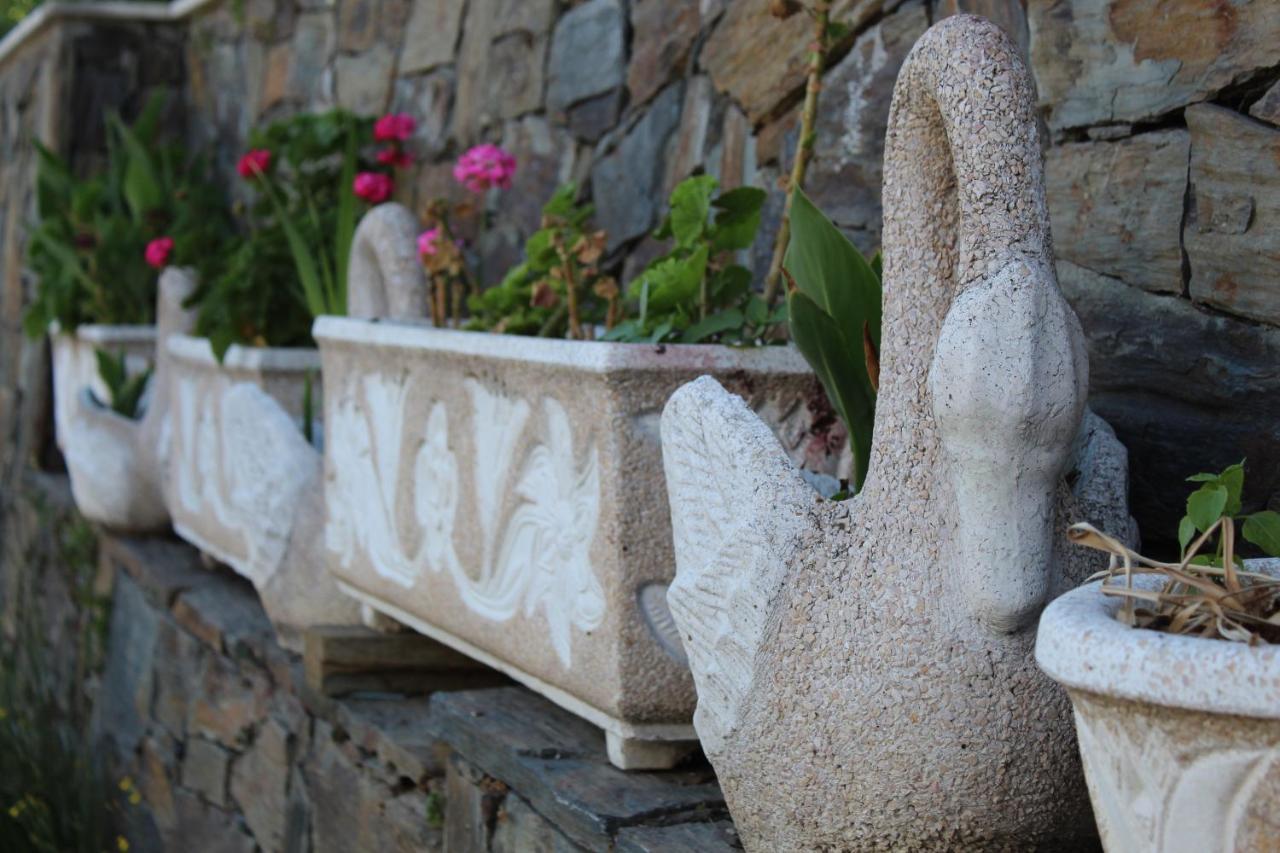 Casa Jose Lourenco Folgosa  المظهر الخارجي الصورة